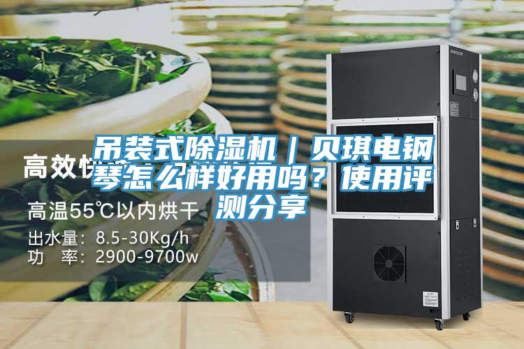 吊裝式除濕機(jī)｜貝琪電鋼琴怎么樣好用嗎？使用評(píng)測(cè)分享