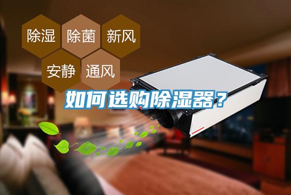 如何選購除濕器？