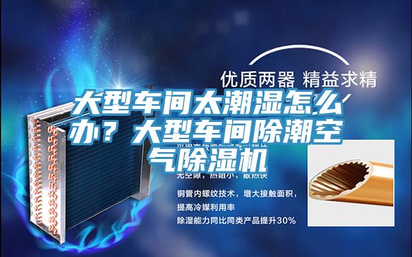 大型車間太潮濕怎么辦？大型車間除潮空氣除濕機