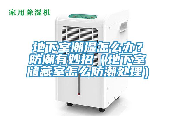 地下室潮濕怎么辦？防潮有妙招（地下室儲(chǔ)藏室怎么防潮處理）