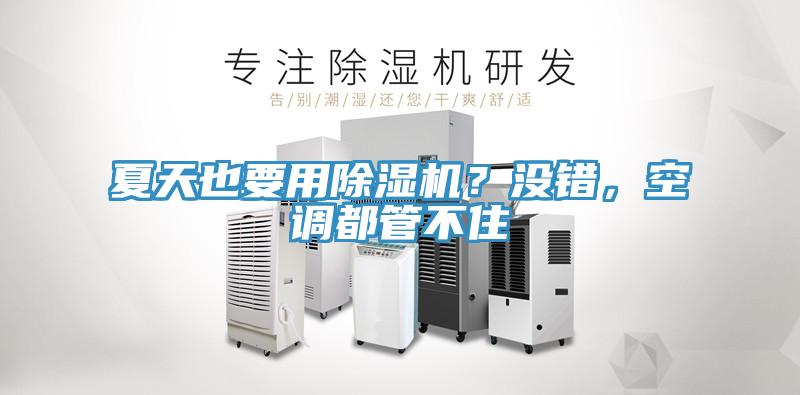 夏天也要用除濕機(jī)？沒(méi)錯(cuò)，空調(diào)都管不住