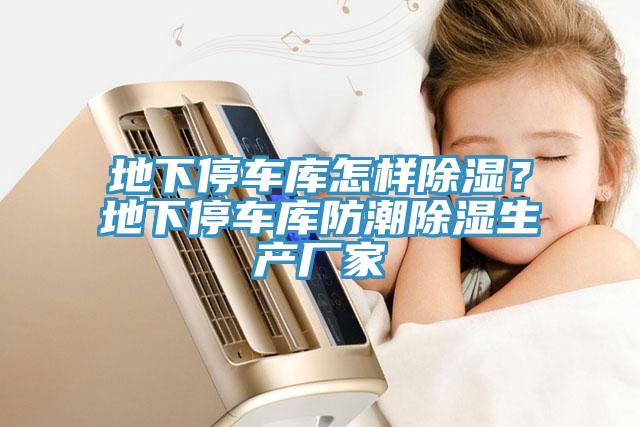 地下停車庫(kù)怎樣除濕？地下停車庫(kù)防潮除濕生產(chǎn)廠家