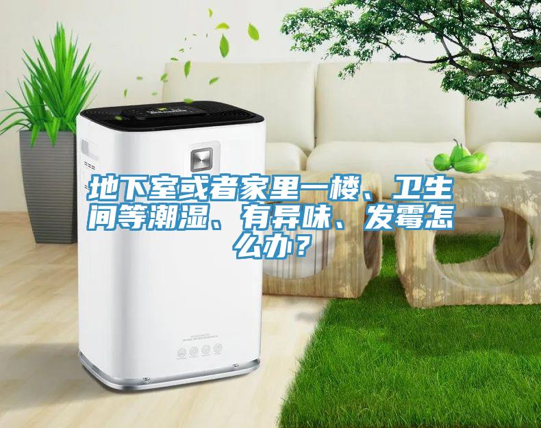 地下室或者家里一樓、衛(wèi)生間等潮濕、有異味、發(fā)霉怎么辦？