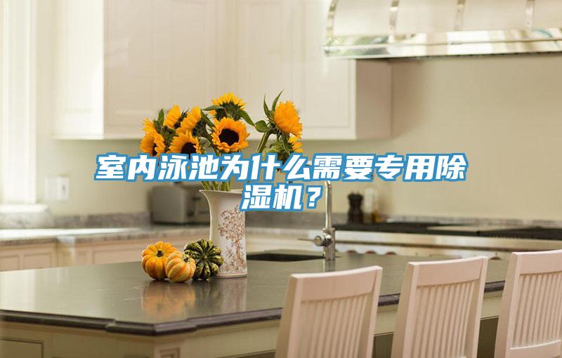 室內(nèi)泳池為什么需要專用除濕機(jī)？