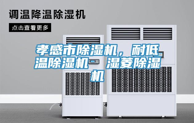 孝感市除濕機(jī)，耐低溫除濕機(jī)  濕菱除濕機(jī)