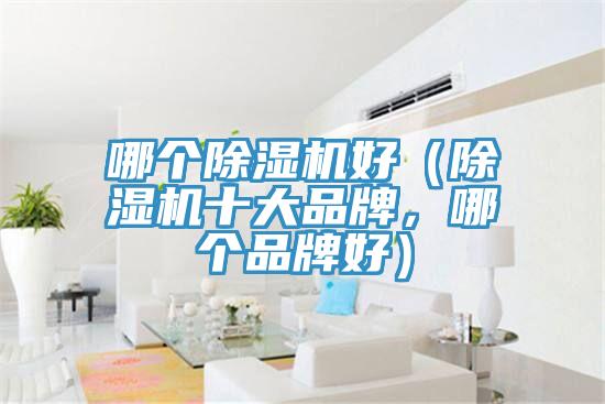哪個(gè)除濕機(jī)好（除濕機(jī)十大品牌，哪個(gè)品牌好）