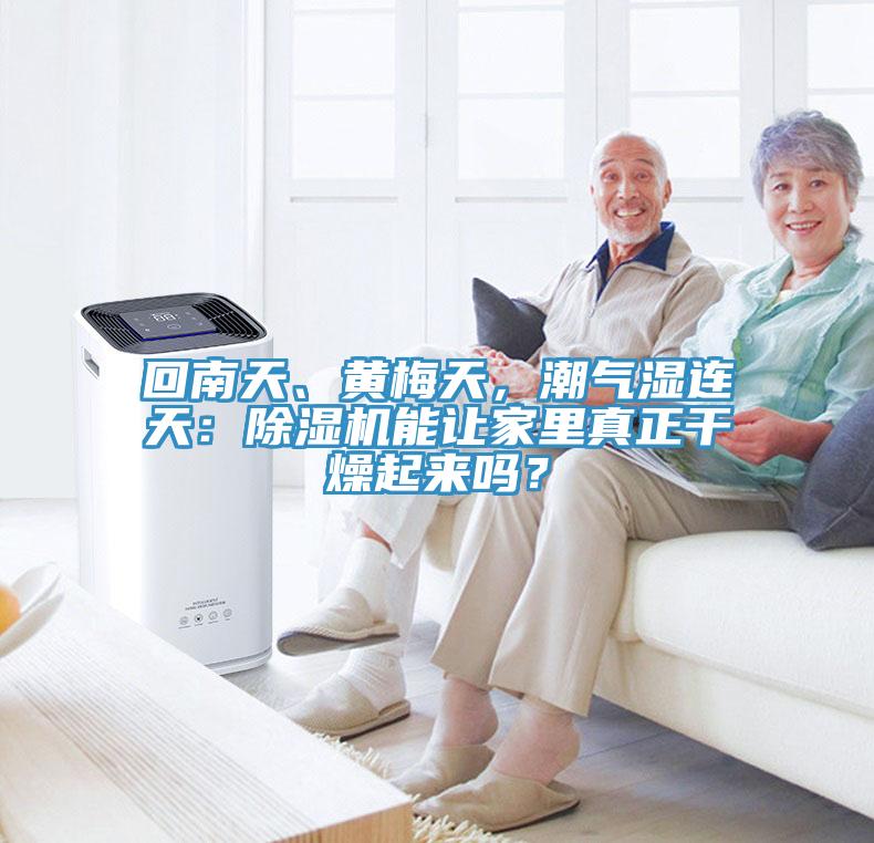 回南天、黃梅天，潮氣濕連天：除濕機能讓家里真正干燥起來嗎？