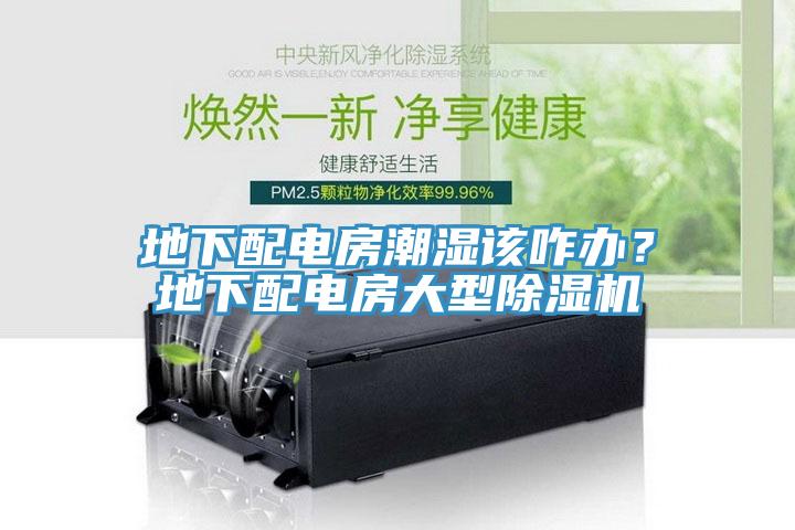 地下配電房潮濕該咋辦？地下配電房大型除濕機