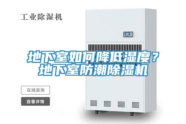 地下室如何降低濕度？地下室防潮除濕機