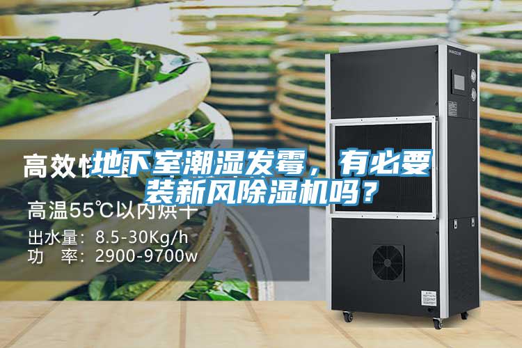 地下室潮濕發(fā)霉，有必要裝新風(fēng)除濕機(jī)嗎？