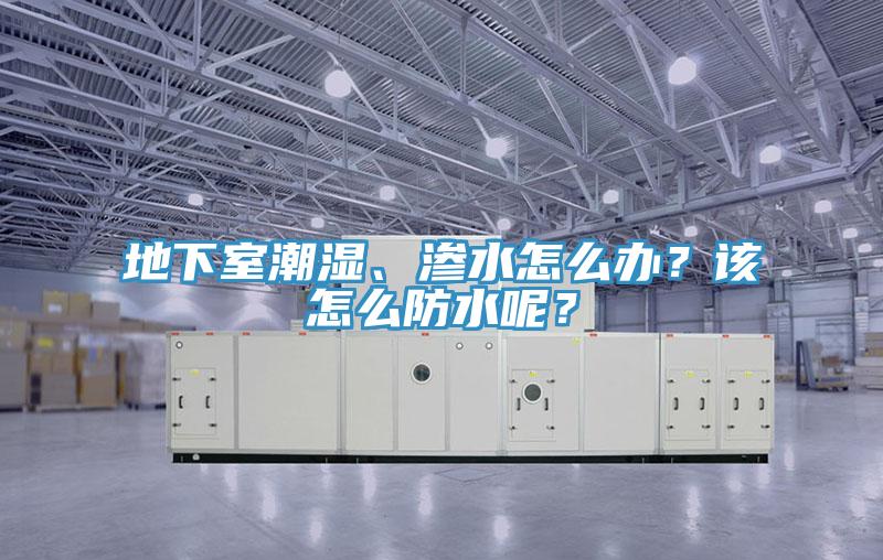 地下室潮濕、滲水怎么辦？該怎么防水呢？