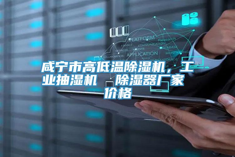 咸寧市高低溫除濕機，工業(yè)抽濕機  除濕器廠家 價格