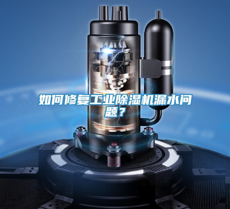 如何修復(fù)工業(yè)除濕機(jī)漏水問題？