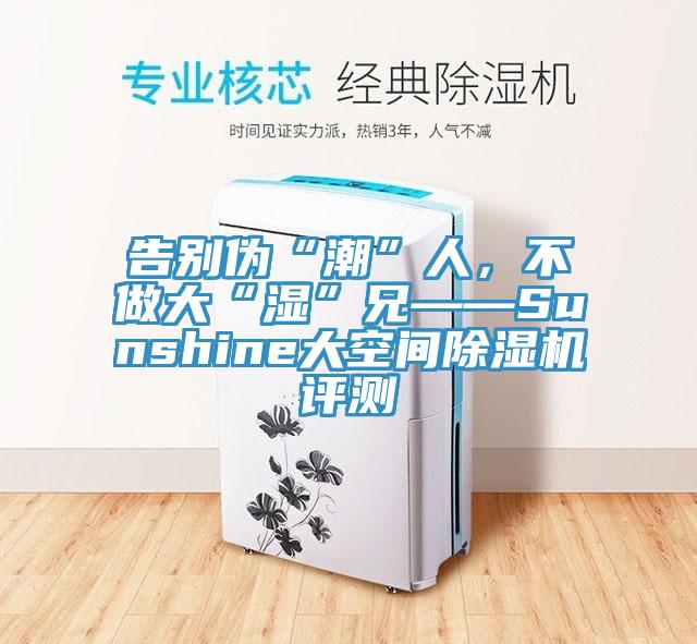 告別偽“潮”人，不做大“濕”兄——Sunshine大空間除濕機(jī)評(píng)測