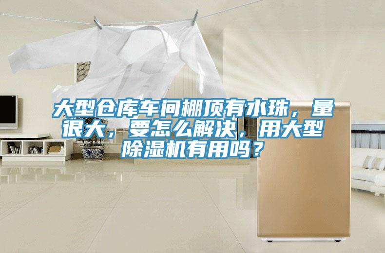 大型倉庫車間棚頂有水珠，量很大，要怎么解決，用大型除濕機有用嗎？