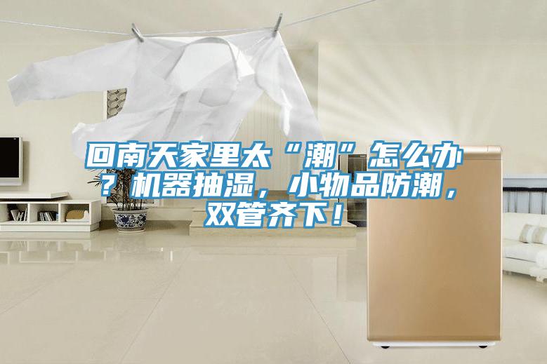 回南天家里太“潮”怎么辦？機(jī)器抽濕，小物品防潮，雙管齊下！