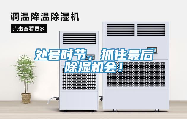 處暑時(shí)節(jié)，抓住最后除濕機(jī)會(huì)！