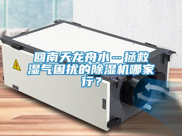 回南天龍舟水…拯救濕氣困擾的除濕機哪家行？