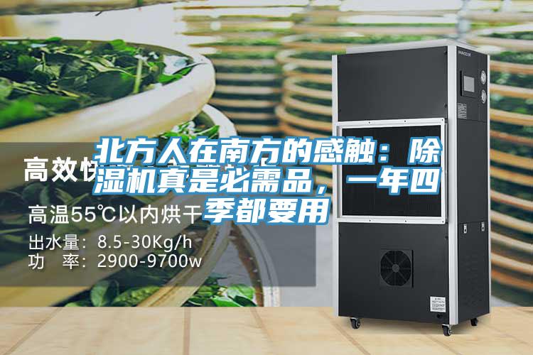 北方人在南方的感觸：除濕機(jī)真是必需品，一年四季都要用