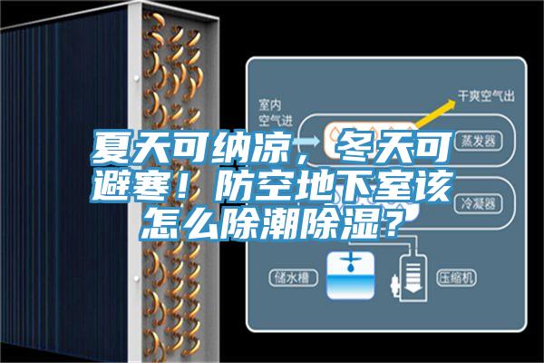 夏天可納涼，冬天可避寒！防空地下室該怎么除潮除濕？