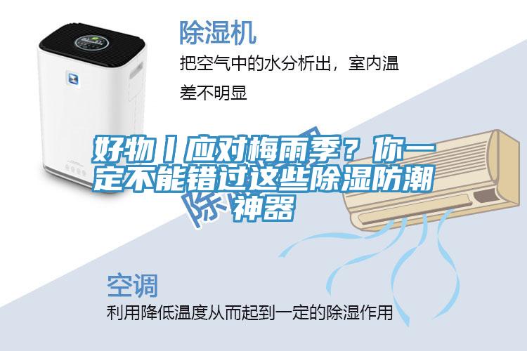 好物丨應(yīng)對梅雨季？你一定不能錯過這些除濕防潮神器