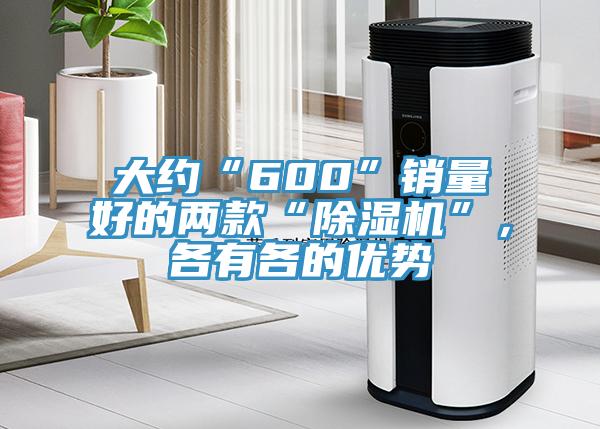 大約“600”銷量好的兩款“除濕機”，各有各的優(yōu)勢