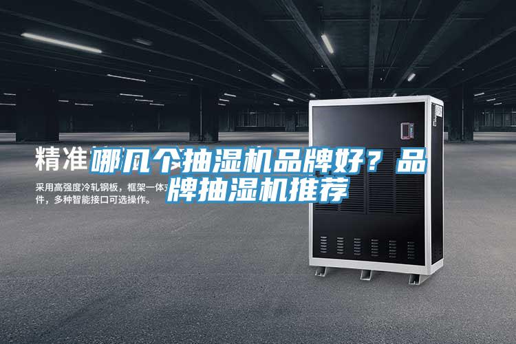 哪幾個(gè)抽濕機(jī)品牌好？品牌抽濕機(jī)推薦