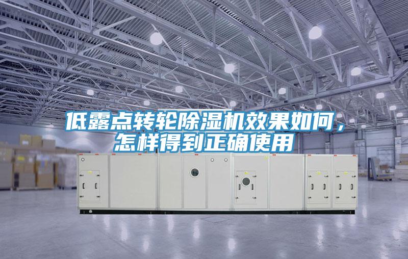 低露點(diǎn)轉(zhuǎn)輪除濕機(jī)效果如何，怎樣得到正確使用