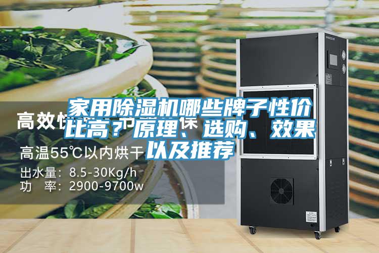 家用除濕機(jī)哪些牌子性價(jià)比高？原理、選購、效果以及推薦