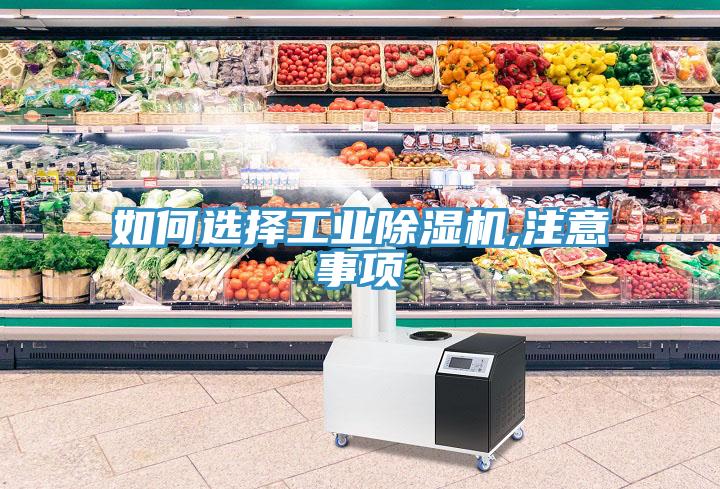 如何選擇工業(yè)除濕機(jī),注意事項