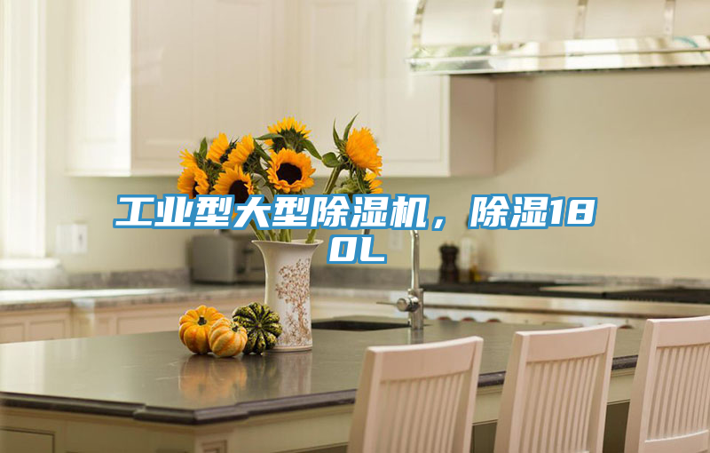 工業(yè)型大型除濕機(jī)，除濕180L