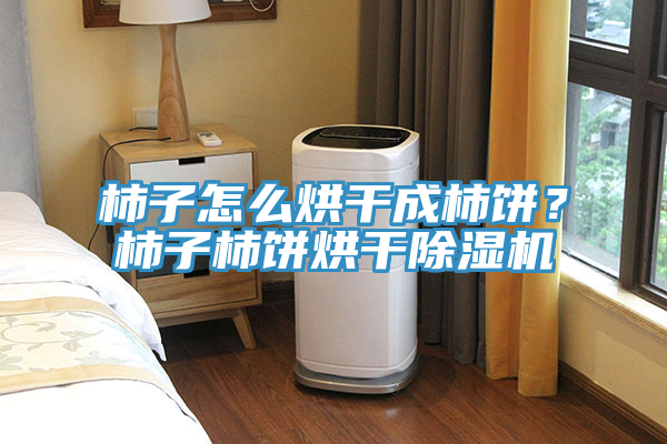 柿子怎么烘干成柿餅？柿子柿餅烘干除濕機