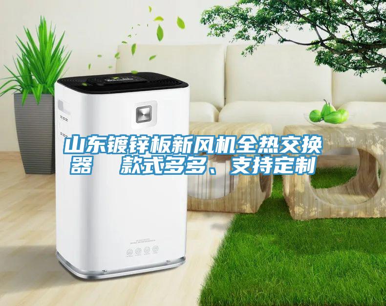 山東鍍鋅板新風(fēng)機(jī)全熱交換器  款式多多、支持定制