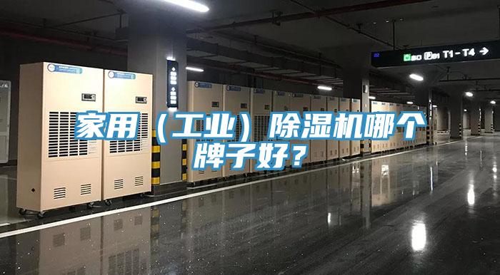 家用（工業(yè)）除濕機(jī)哪個(gè)牌子好？