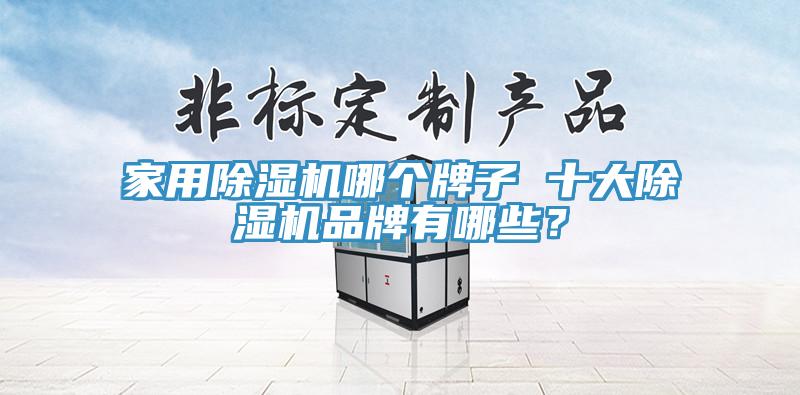 家用除濕機(jī)哪個(gè)牌子 十大除濕機(jī)品牌有哪些？