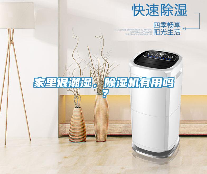 家里很潮濕，除濕機(jī)有用嗎？