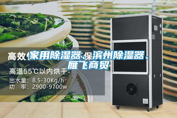 家用除濕器、濱州除濕器、雁飛商貿(mào)