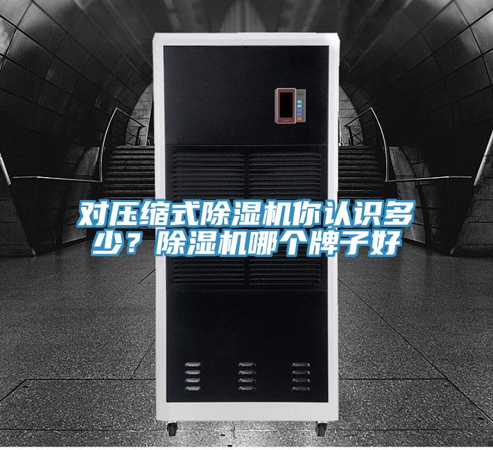 對壓縮式除濕機(jī)你認(rèn)識多少？除濕機(jī)哪個牌子好
