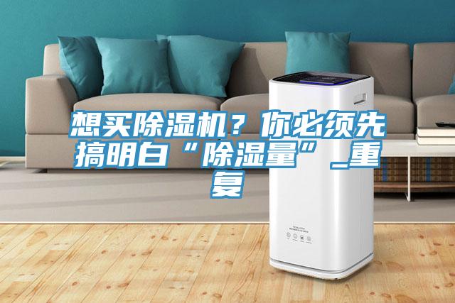 想買除濕機(jī)？你必須先搞明白“除濕量”_重復(fù)
