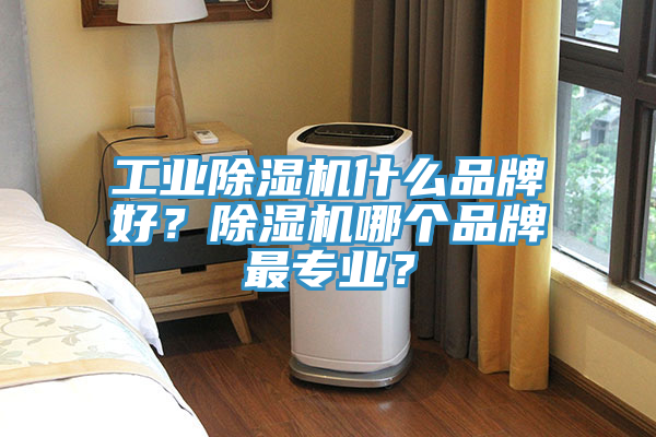 工業(yè)除濕機(jī)什么品牌好？除濕機(jī)哪個(gè)品牌最專業(yè)？
