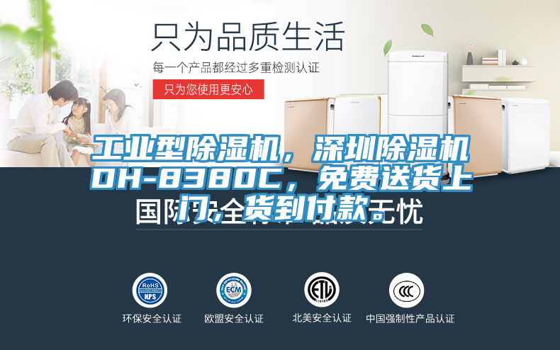 工業(yè)型除濕機(jī)，深圳除濕機(jī)DH-8380C，免費送貨上門，貨到付款。