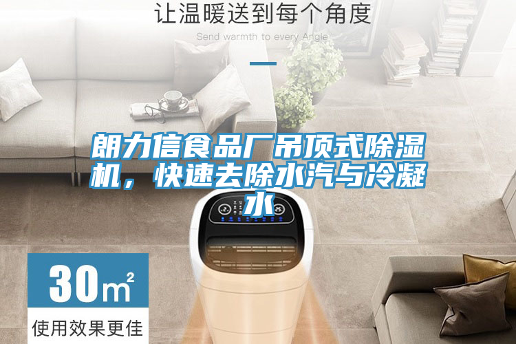 朗力信食品廠吊頂式除濕機(jī)，快速去除水汽與冷凝水