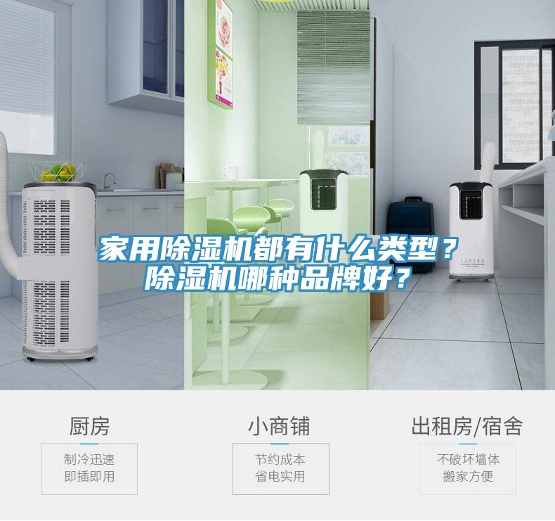 家用除濕機(jī)都有什么類型？除濕機(jī)哪種品牌好？