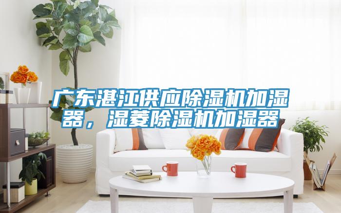 廣東湛江供應(yīng)除濕機加濕器，濕菱除濕機加濕器