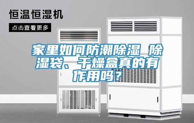 家里如何防潮除濕 除濕袋、干燥盒真的有作用嗎？