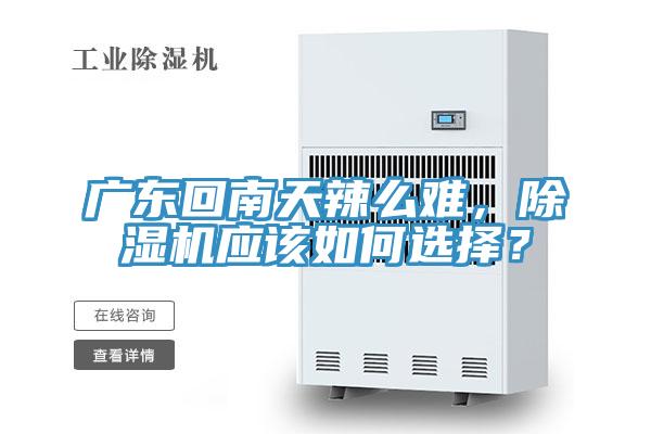 廣東回南天辣么難，除濕機應該如何選擇？