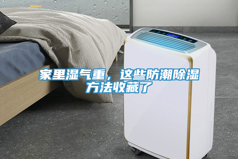 家里濕氣重，這些防潮除濕方法收藏了