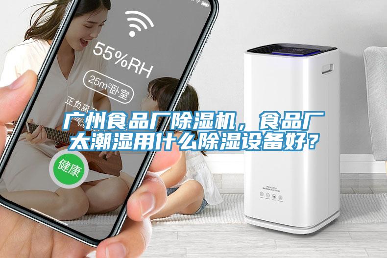 廣州食品廠除濕機(jī)，食品廠太潮濕用什么除濕設(shè)備好？