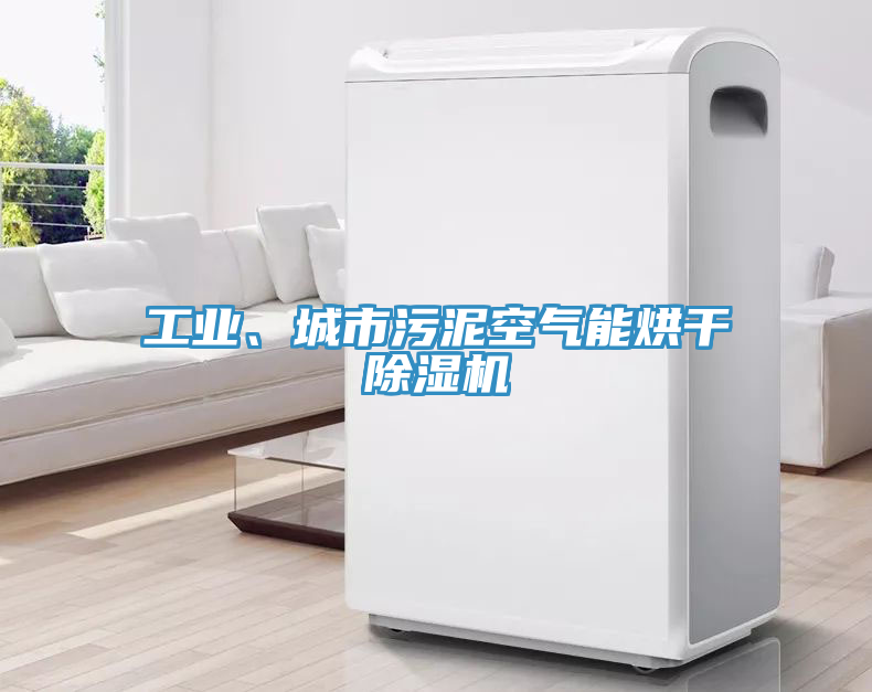 工業(yè)、城市污泥空氣能烘干除濕機(jī)