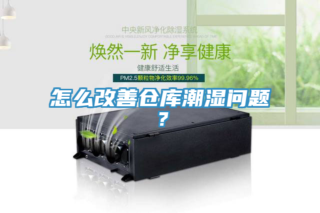 怎么改善倉庫潮濕問題？